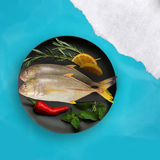 Yellow trevally fish Medium